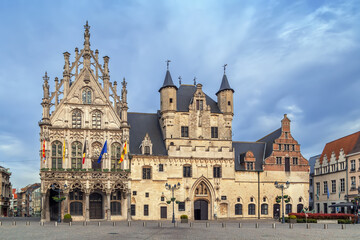 Fototapeta na wymiar Mechelen City Hall, Beldium