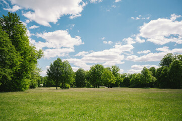Obraz premium Eine Wiese mit Bäumen im Fürst Pückler Park in Bad Muskau
