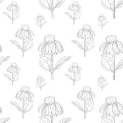 set of flowers. Seamless pattern with sunflowers. Sketch of sunflowers by lines. Black and white floral print. Pattern for wrapping paper, textiles.