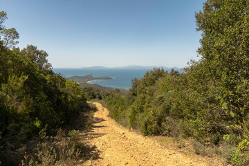 Italy Tuscany, Punta Ala, the path Rio Palma, mountain biking and bike-bike, panoramic view of the...