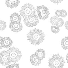 Seamless pattern with sunflowers. Sketch of sunflowers by lines. Black and white floral print. Pattern for wrapping paper, textiles.