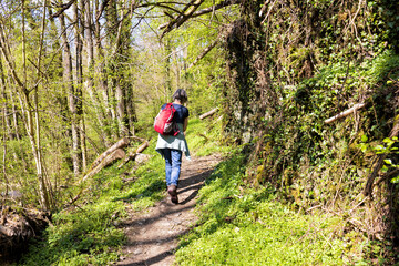 Wandern im Dörsbachtal