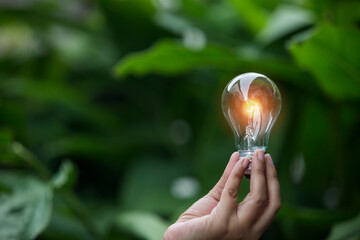 Light bulbs that grow, in the concept of energy in nature.