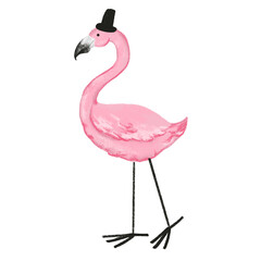 Flamingo on white isolated background. Vector illustration