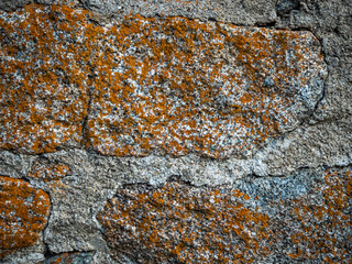 imagen textura pared de piedra con moho amarillo y las juntas de cemento