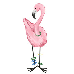 Flamingo on white isolated background. Vector illustration