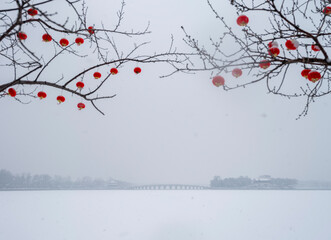 Snow-covered red lanterns on trees, Summer Palace, Beijing