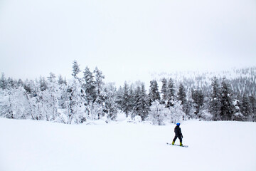 Snowscape