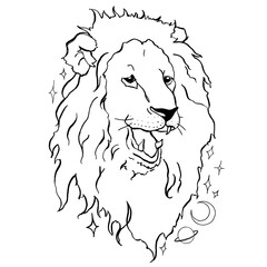 Vector leo zodiac sign. Hand painted astrology card isolated on white background. Minimal line art illustration for design, print, fabric or background.