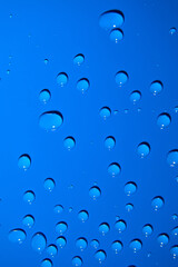Abstract water drops on blue background, macro, Bubbles close up