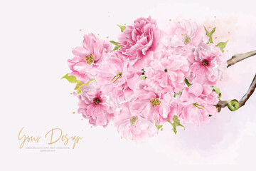 Fototapeta na wymiar Pink cherry blossom flower frame background