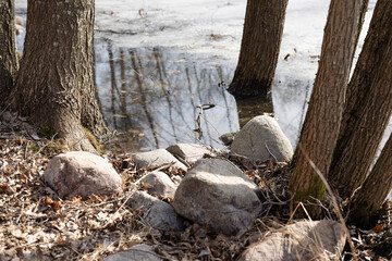 Stones in small pond at spring time. Some ice still left.