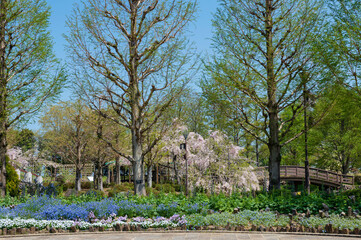 草津市水生植物公園