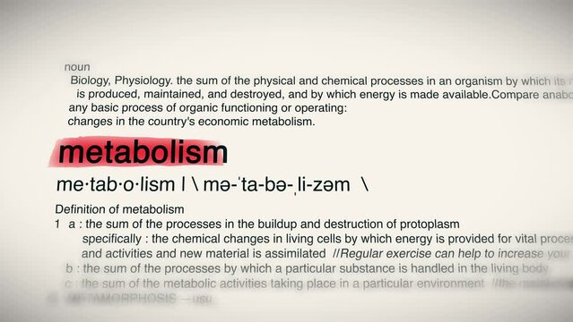 The Word Metabolism Red Highlighted in a Dictionary Animation
