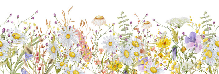 Fototapety  Wild flowers watercolor frame botanical hand drawn illustration