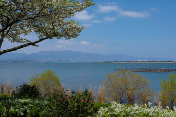 草津市水生植物公園から見るびわ湖対岸