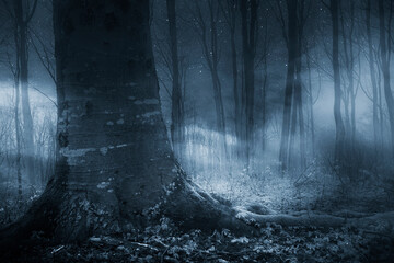 fog in dark woods at night, horror landscape - obrazy, fototapety, plakaty