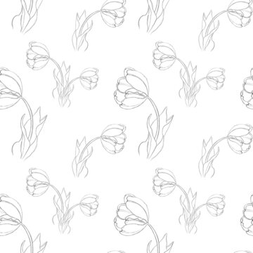 Seamless pattern with the image of a tulip with drawn lines. Print for textiles, wrapping paper, wallpaper, postcards.