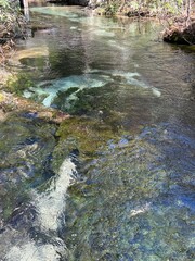 上高地 岳沢湿原 長野県