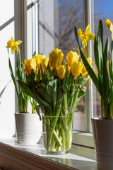 Spring flowers bouquet in yellow colors 
