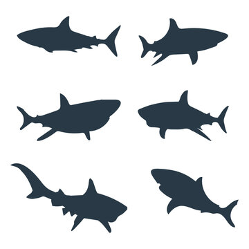 Shark vector silhouette in different poses stock illustration