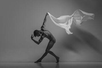 Black and white portrait of graceful muscled male ballet dancer dancing with fabric, cloth isolated on grey studio background. Grace, art, beauty concept. Weightless, flexible.