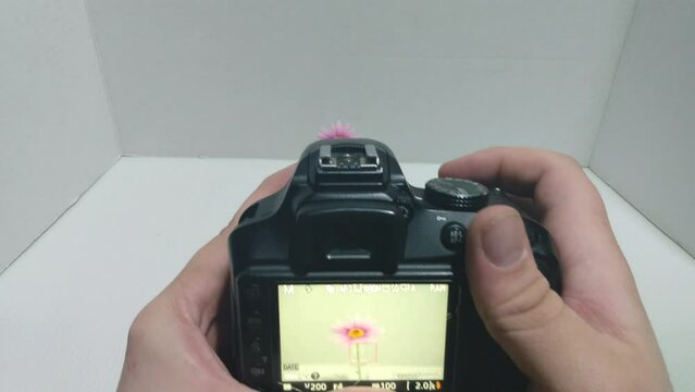 Man using a black digital single lens reflex camera to take multiple pictures of a flower close up