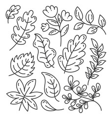 Set of black and white autumn, spring and summer doodle leaves. Elements isolated on white background.