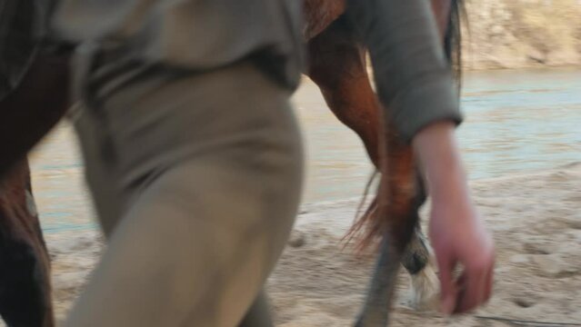 horse and woman on banks of river, on sand. Horseback riding, nature, outdoors, spring and summer, leisure.