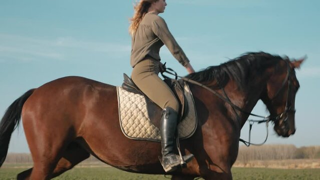 beautiful woman rides horse across field, freedom, horse walks, rental. lifestyle