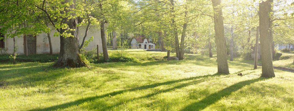 Traditional country house, green lawn, trees, flower decoration. Idyllic rural scene. Spring, early summer. Vacations, eco tourism, seasons, nature, architecture