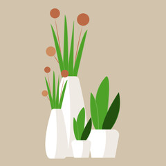 Isolated plants. Flowers in pots. Colorful cartoon flat illustration.