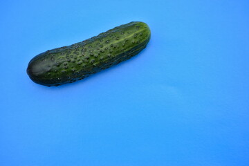 cucumber in the blue background 