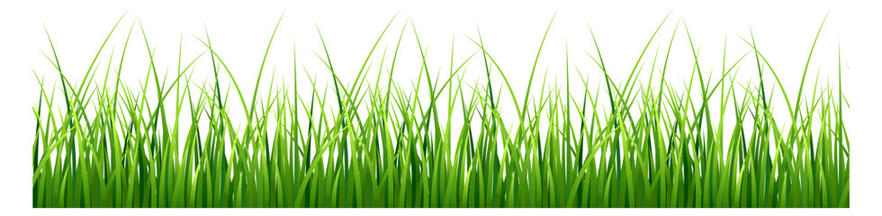 Realistic green grass. Natural field seamless border