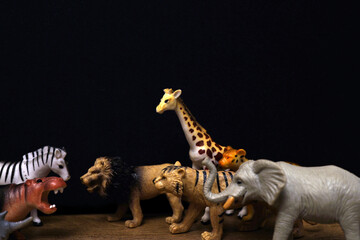 Group of jungle animals toys isolated over black background. Plastic animals toys. Protection of the animal. Children's toy.