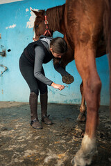 Ten year old girl taking care of horses and cleaning hoofs with special brush.