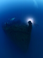 scuba divers exploring old ship wreck with torch light underwater from 1 world war ww1 wreck ocean...