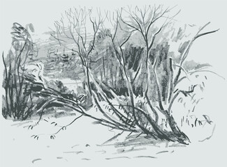 Hand drawing of nature landscape with trees in spring forest