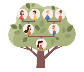 Family genealogic tree. Parents and grandparents, children. Genealogy, pedigree. Genealogical concept. Vector flat illustration