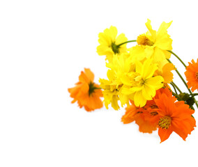 bouquet of yellow flowers
