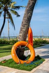 life buoy and circle. Safety for swimmers