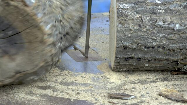 Taglio Legna da ardere con sega a nastro