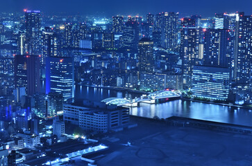 Naklejka premium カレッタ汐留から見る汐留の夜景と勝鬨橋