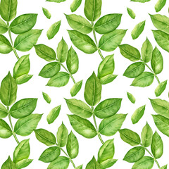 seamless pattern with watercolor fresh green leaves, hand drawn sketch, botanical illustration