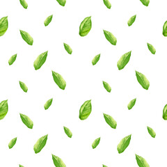 seamless pattern with watercolor fresh green leaves, hand drawn sketch, botanical illustration