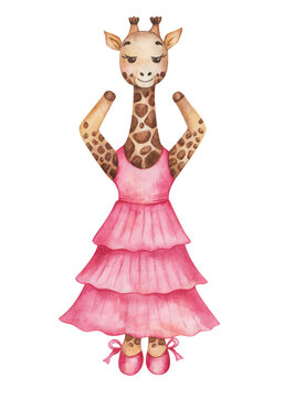 Watercolor illustration of hand painted giraffe in dance studio in pink dress, ballet shoes. Cartoon african safari animal character. Isolated clip art for children fabric textile prints, poster