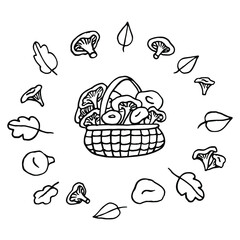 Doodle mushrooms, decor set. Vector collection of various species of edible mushrooms and basket with mushrooms isolated on white. 