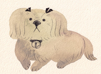 リボンを付けた長毛犬