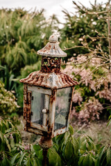 Lampion ogrodowy , dekoracja w ogrodzie.  - obrazy, fototapety, plakaty