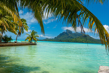 Fototapeta na wymiar Bora Bora photo with turquoise ocean, blue skies, mountain and palm trees 